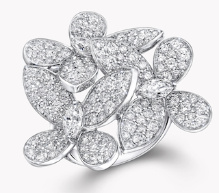 버터 플라이 트리플파베