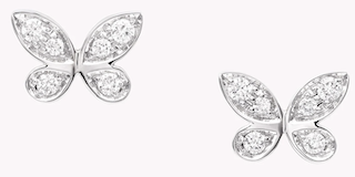 버터플라이 이어링 쁘띠