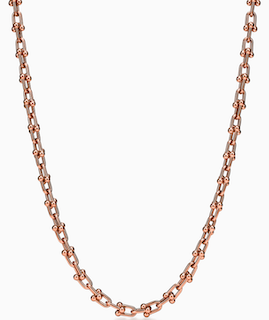 하드웨어 목걸이 마이크로 